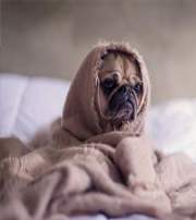 辽宁有这样的手机号码，留不住钱，你中枪了吗？