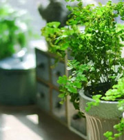 辽宁专属于你的开运指南，助你鸿运当头福满身！