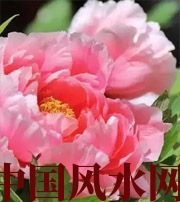 辽宁预示你财运上升，姻缘可成的梦境，快来看看吧！