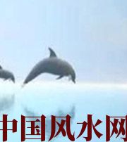 辽宁做梦梦到这些，是要富裕的征兆！