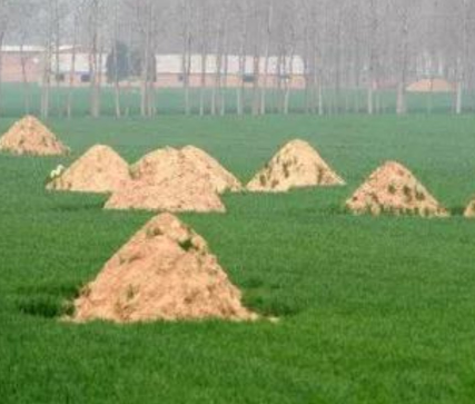 辽宁阴宅风水：形峦三十六绝